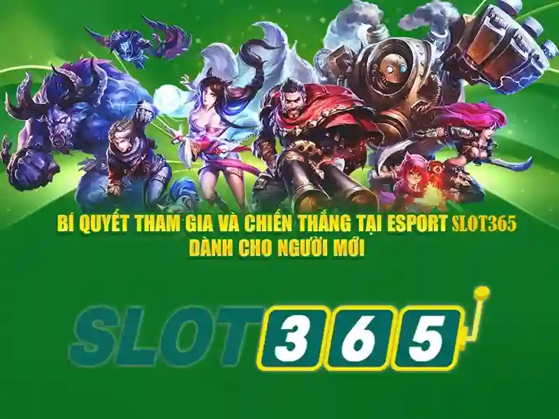 Trải nghiệm người dùng và giao diện