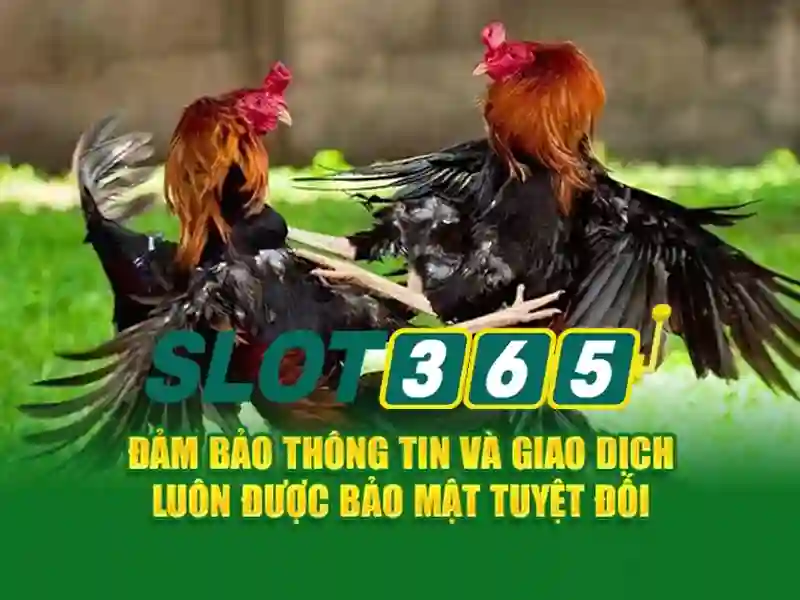 An toàn và bảo mật