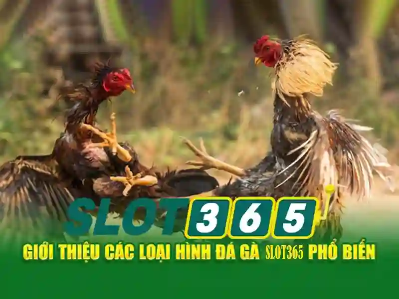 Kho trò chơi và nhà phát triển uy tín