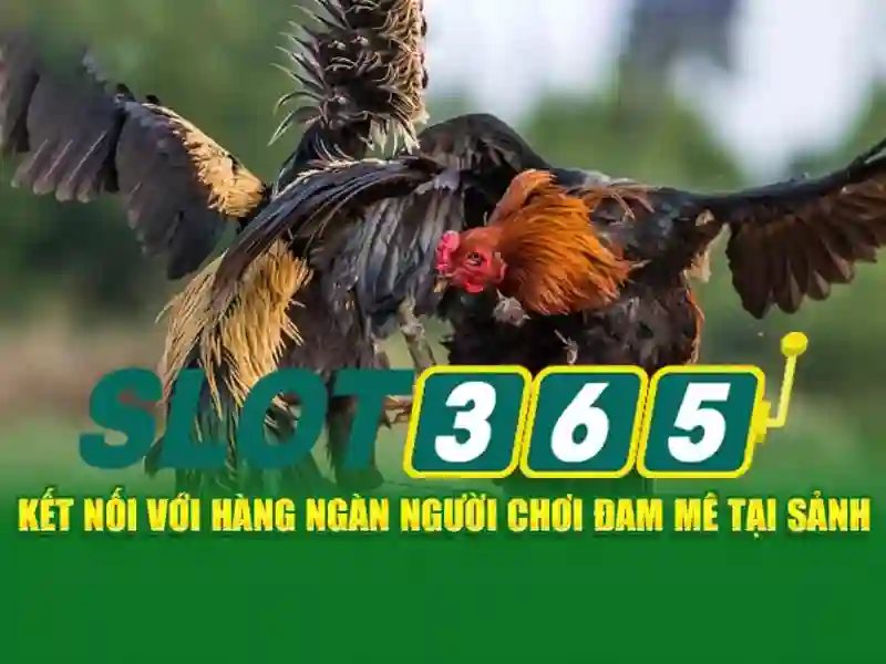 Bảo mật, thanh toán và hỗ trợ người chơi