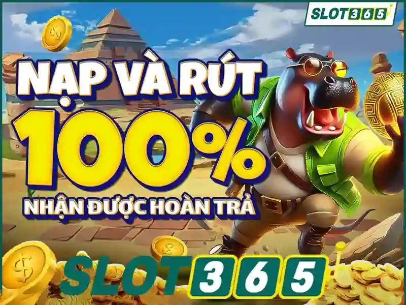 Giao diện nhà cái hoàn hảo