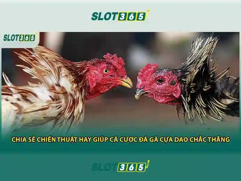 Giao diện nhà cái hoàn hảo