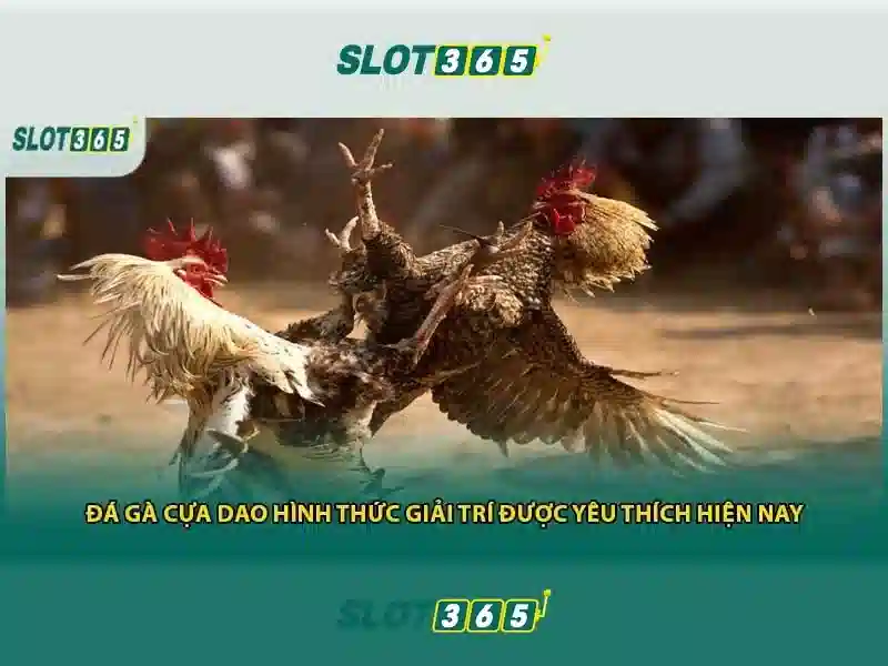 Giao diện người dùng thân thiện và tối ưu cho di động