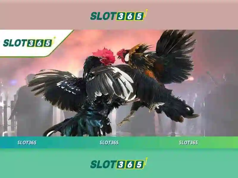 Slot365: Trải nghiệm slot trực tuyến an toàn và hấp dẫn Giao diện nhà cái hoàn hảo