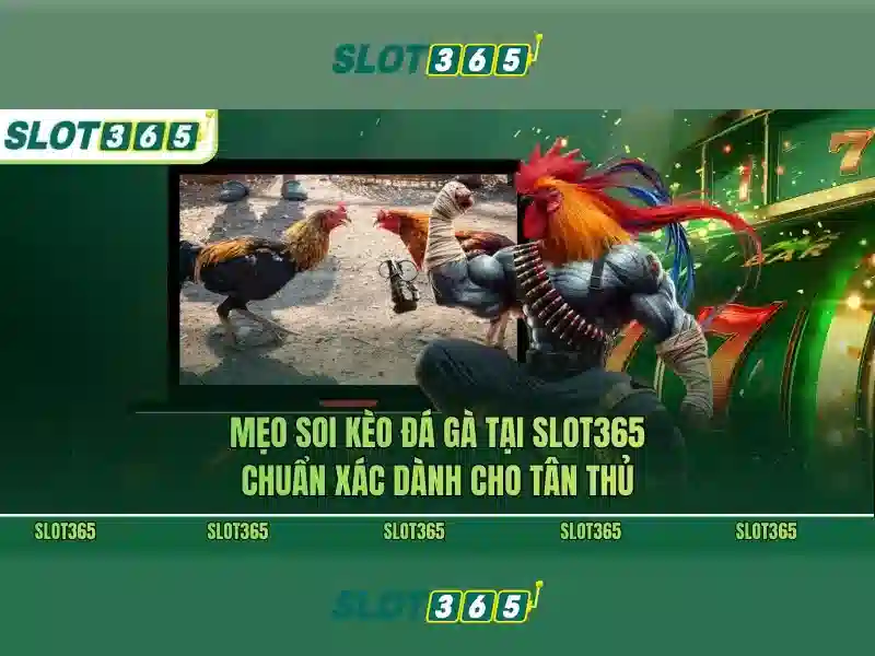 Slot365 là gì?
