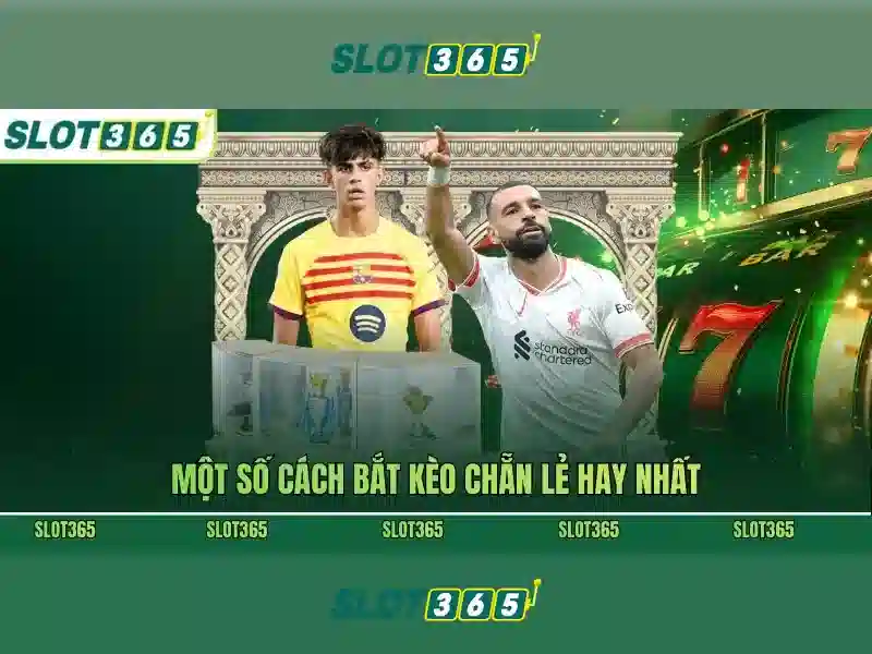 Slot365: Đánh giá tổng quan về nền tảng slot trực tuyến Giao diện nhà cái hoàn hảo