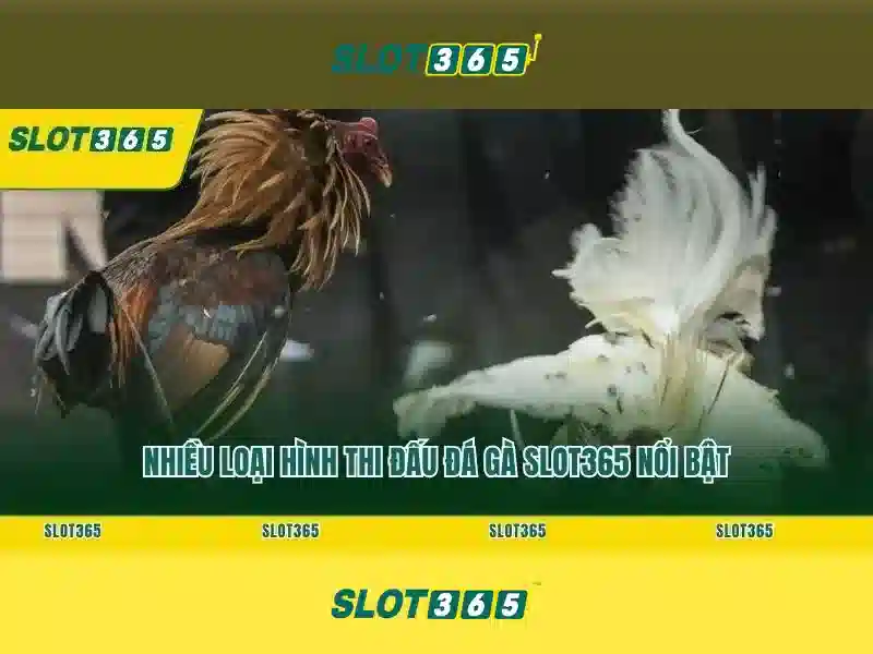 Slot365 hỗ trợ khách hàng 24/7 và tài khoản người chơi