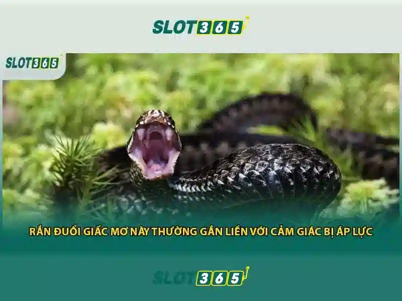 Trò chơi và nhà cung cấp