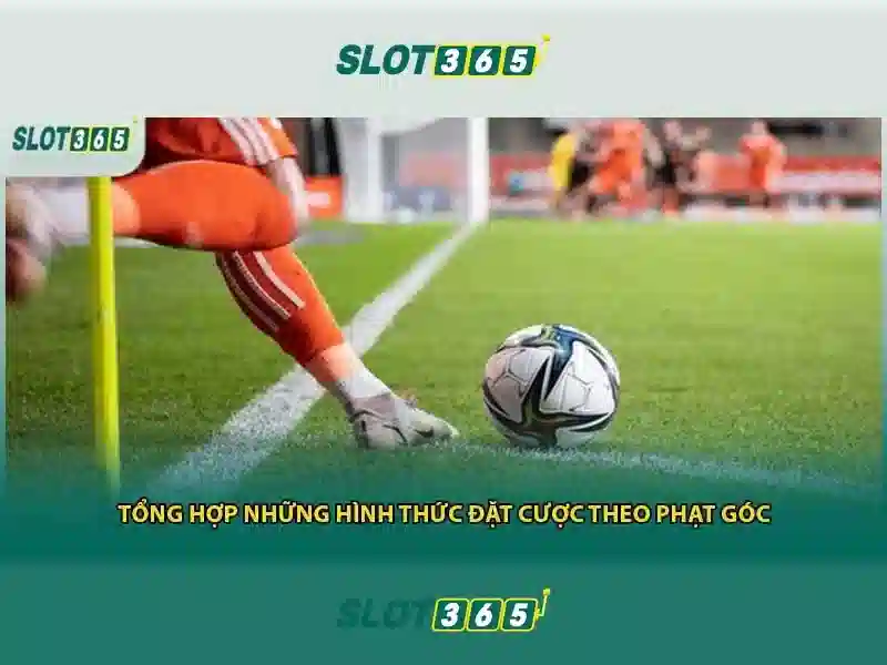 Trải nghiệm người dùng tuyệt vời với Slot365