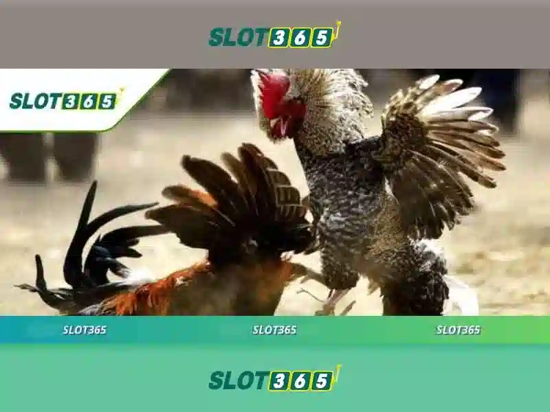 Slot365 - Nền tảng máy đánh bạc trực tuyến hàng đầu Giao diện nhà cái hoàn hảo