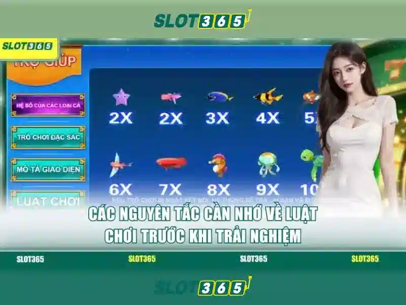 Giao diện nhà cái hoàn hảo