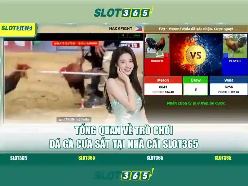 Slot365: Nền tảng slot trực tuyến hàng đầu cho trải nghiệm giải trí Giao diện nhà cái hoàn hảo