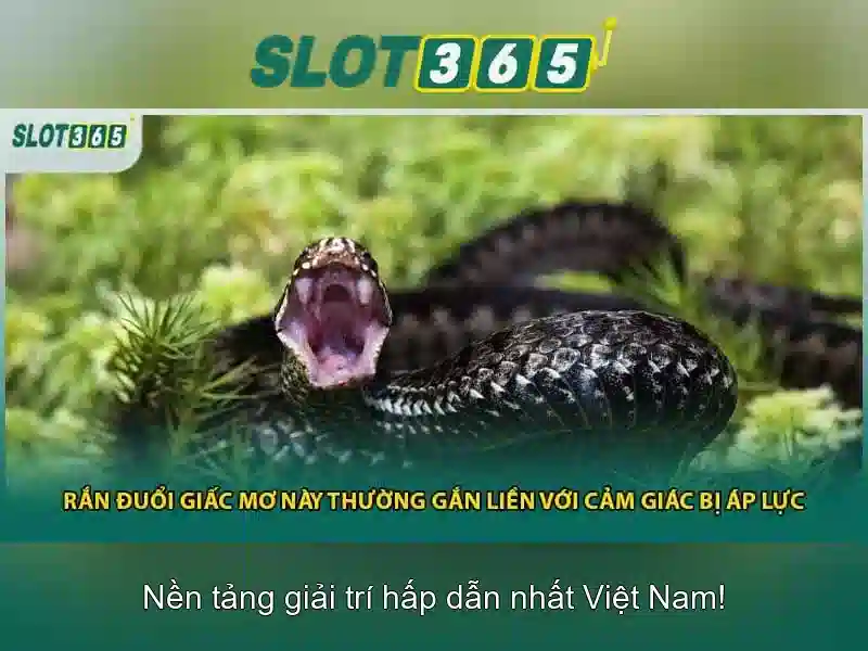 Khuyến mãi và ưu đãi