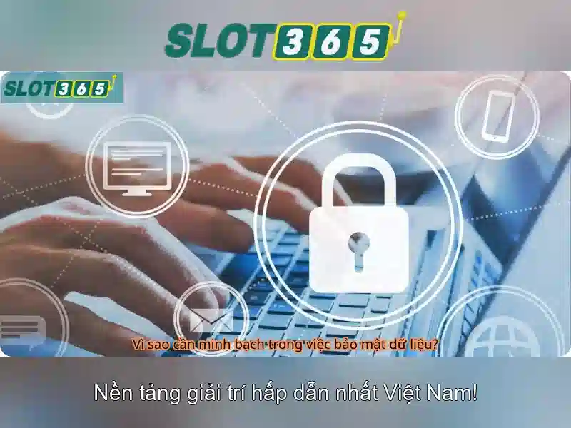 Trải nghiệm người dùng và giao diện