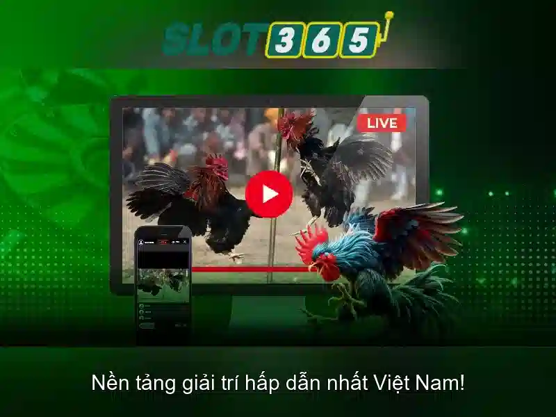 Tính năng và trò chơi