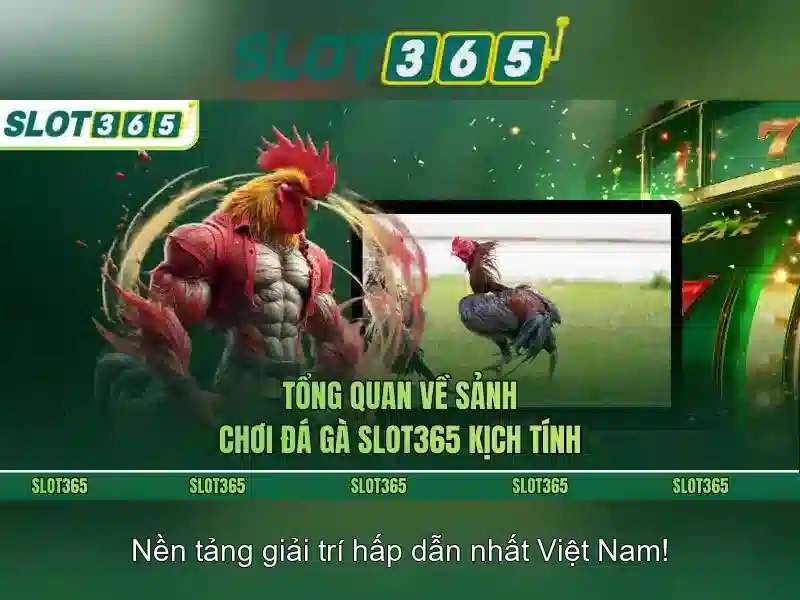 An toàn, bảo mật và thanh toán