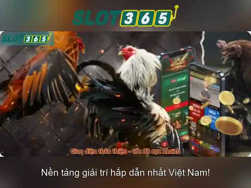 Giới thiệu về Slot365