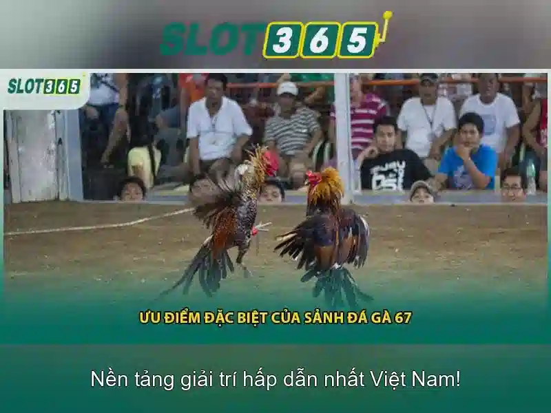 Lợi ích khi chơi trên Slot365
