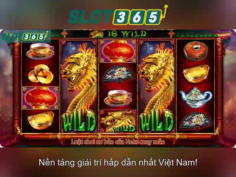 Kết luận và lời khuyên tham gia có trách nhiệm