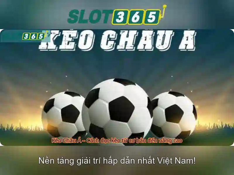 Slot365 – Nền tảng slot trực tuyến đáng tin cậy