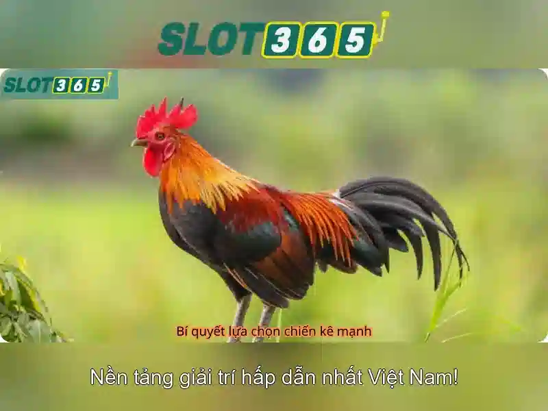 Slot365: Nền tảng trò chơi slot trực tuyến hàng đầu Giao diện nhà cái hoàn hảo