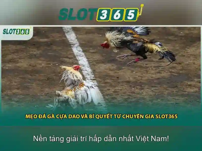Cung cấp nhiều trò chơi khe đa dạng và tính năng hiện đại