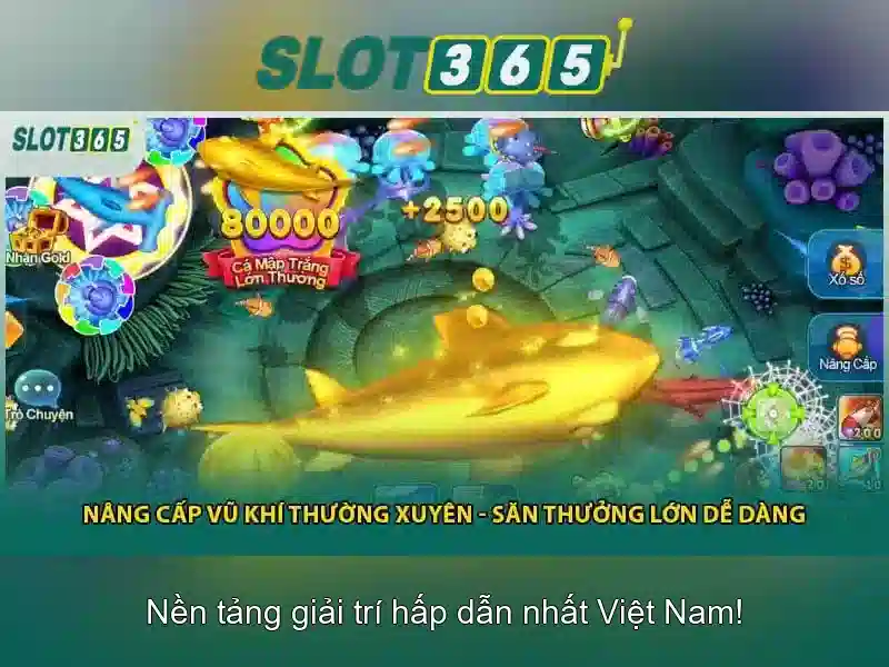 Giao diện nhà cái hoàn hảo