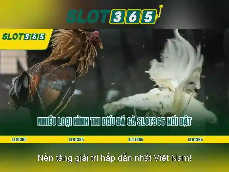 Slot365: Cổng chơi slot online an toàn và thú vị Giao diện nhà cái hoàn hảo