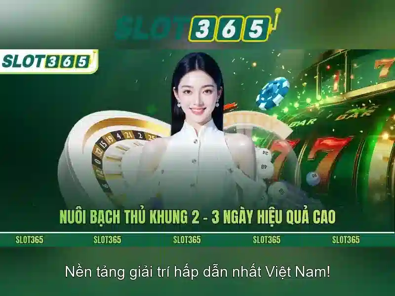 Kết luận và khuyến nghị