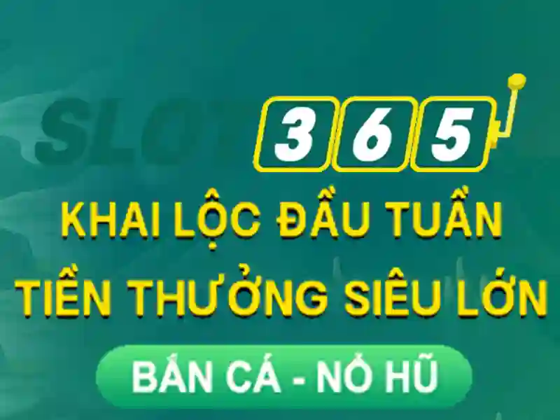 Trải nghiệm người dùng và giao diện