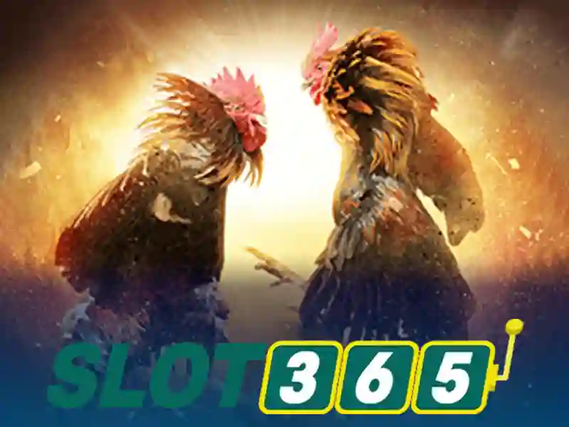 Danh mục trò chơi phổ biến tại Slot365