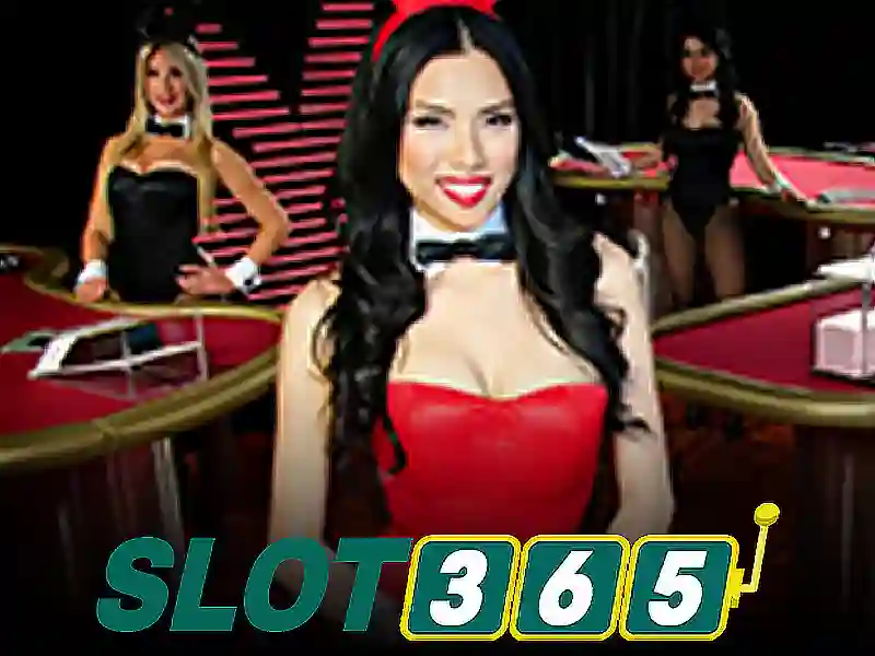 Slot365: Nền tảng chơi slots trực tuyến an toàn và đa dạng Giao diện nhà cái hoàn hảo